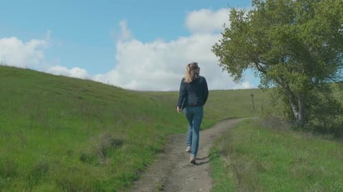 Hiking On The Meadow