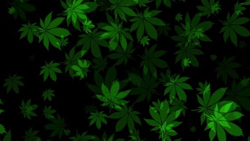 Animated Green Cannabis Leaves Floating Background
