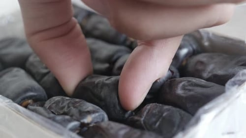 Hand picked date palm from opened box 4K 2160p 30fps UltraHD footage - Sweet fruit Phoenix dactylif