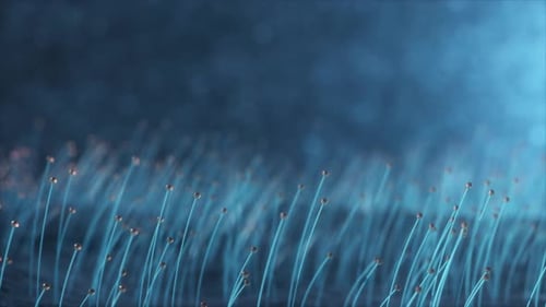 3D Rendering Colorful Particle Line Like a Flower Grow