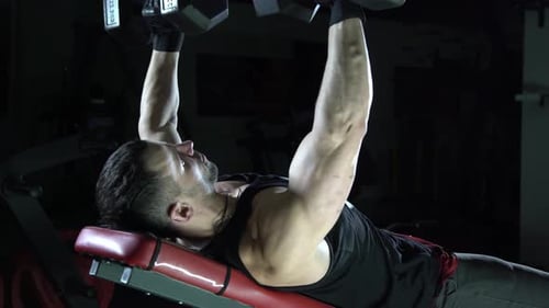 Muscular Man Lifting Weights at the Gym