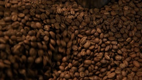 Coffee Roasting Process in Small Roaster Factory