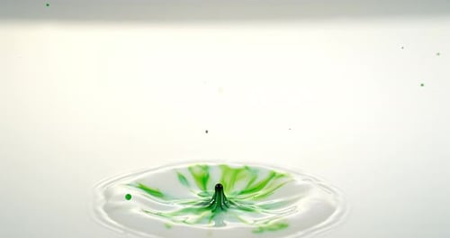 Green Ink falling into Liquid against White Background, Slow motion 4K