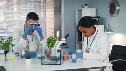Scientists Working in a Lab With Microscope