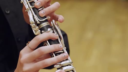 The Girl Plays the Clarinet