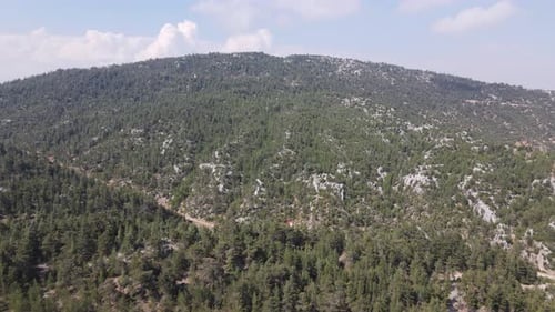 Aerial Green Mountain Forest