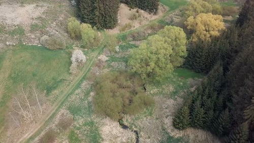 aerial view of european spring landscape