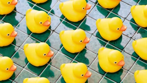 Des canards en caoutchouc pour s'amuser dans le bain. De jolis jouets jaunes sautent dans une direction.