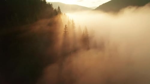 Misty Dawn in den Bergen. Wunderschöne Landschaft