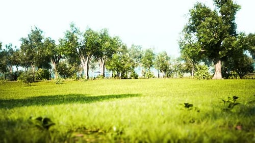 Very Quiet and Empty Park in the Middle of the COVID19 Coronavirus Lockdown