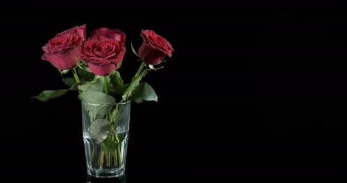 Present flowers in vase.