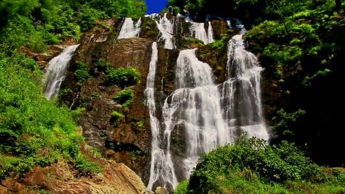 Foamy Mountain Waterfall Cascade in Tropical Park