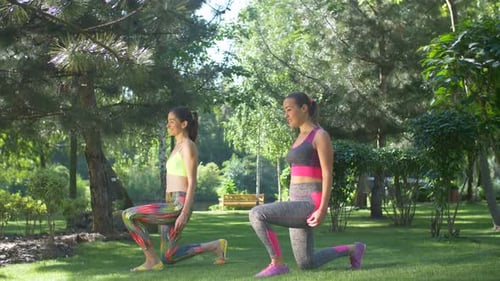 Women Exercising with Lunges in a Tropical Park