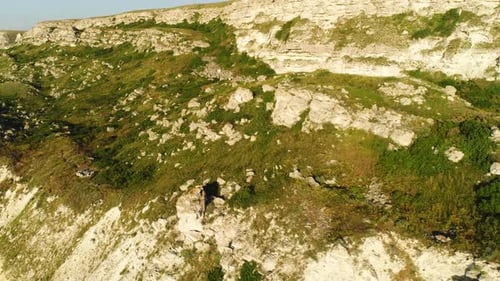 A cliff covered with green bushes