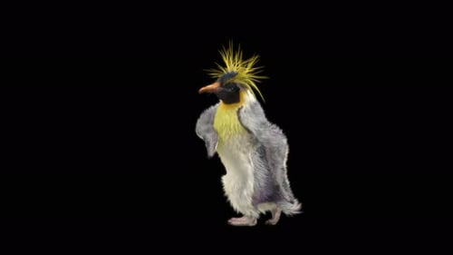 Penguin Dancing 4K