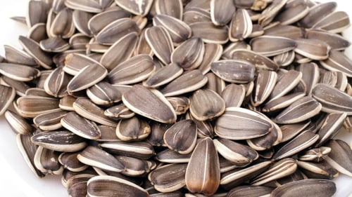 Zoomed In Sunflower Seeds with Striped Shells