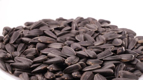 Pile of Shelled Sunflower Seeds on White Background