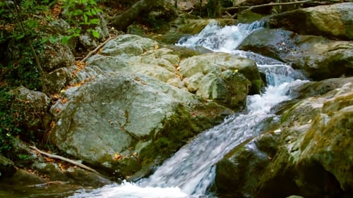 Schneller Gebirgsfluss zwischen Steinen