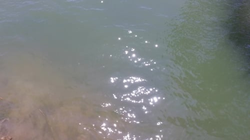 Sunlight Flecks In River Or Lake Water 98