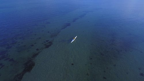 Paddling in a Sea Kayak