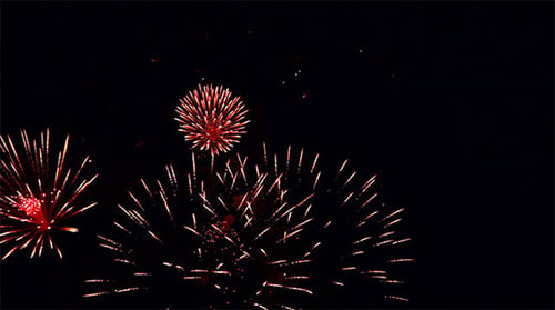 Firework