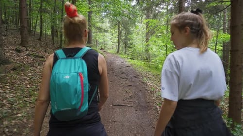 Two Active Climbers Walking Through The Forestland In Carpathian Mountains Alongside The Slovak-Czec