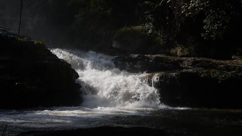 Scenic Waterfall Cascading in a Lush Forest