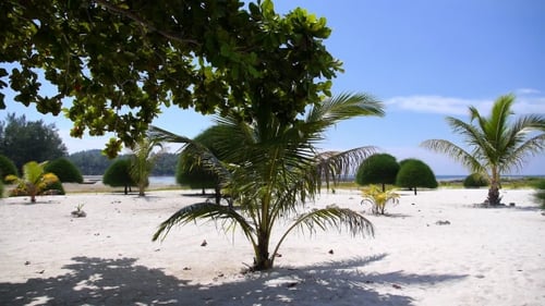 Tropical Paradise With White Beach, Sea And Palm Trees