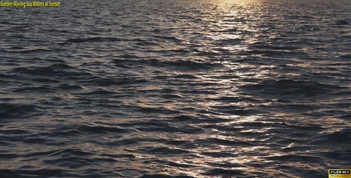 Golden Waving Sea Waters at Sunset