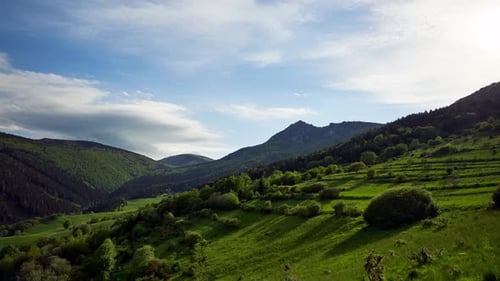 Hohe Berge im Frühling Grüne Berglandschaft Satte grüne Farben von Gras und Bäumen