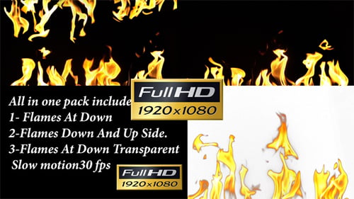Bright Flames Dancing Against Black Background