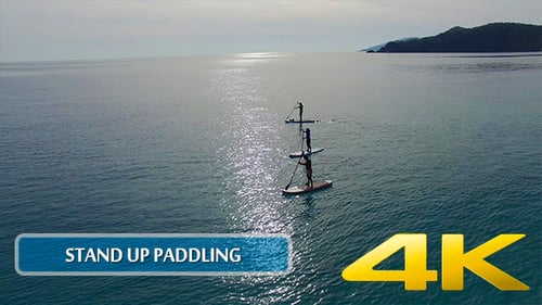 Stand Up Paddling