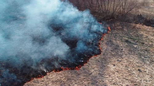 Forest and Field Fire. Dry Grass Burns, Natural Disaster. Aerial View. Fire Moves in a United Front