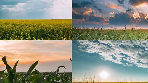 Time Lapse Timelapse Timelapse