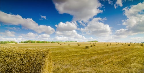 Haystacks On The Field Under The Clouds