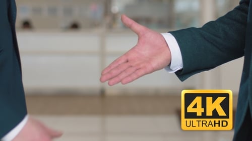 Business Handshake Of Colleagues