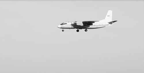 Aiplane Arrival