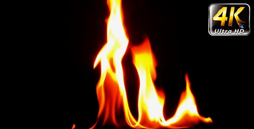 Bright Flames Burning Against Black Background