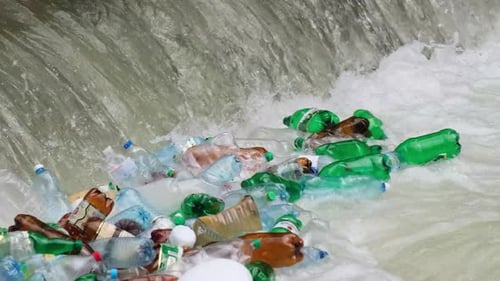 Polluted Water Carries Piles of Discarded Plastic Bottles