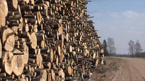 Madera, madera o leña
