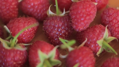 Fresh Raspberries