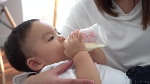 Infant Drinking From Bottle In Adult's Arms Indoors