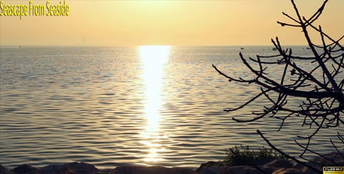 Seascape From Seaside