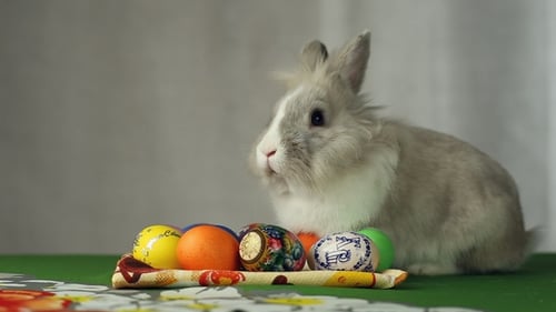 Adorable Bunny with Brightly Decorated Easter Eggs
