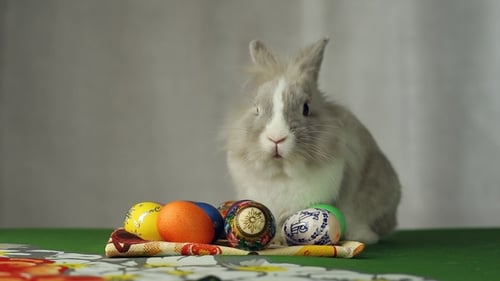 Adorable Easter Bunny and Eggs