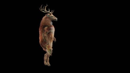 Dancing Deer 3D Animation with Alpha Channel