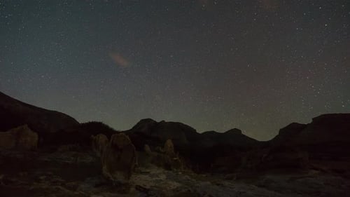 Moving stars with polaris in centre over stone forest Geopark Agios Nikolaos with fossilized tree tr