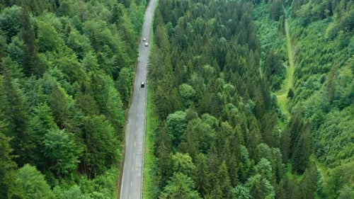 Mountain Road or Curved Serpentine in the Forest with Cars Traffic and High Green Trees