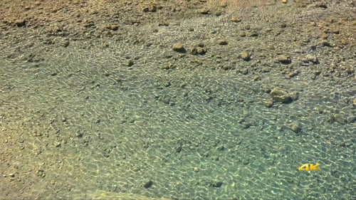 Thermal Water with Sunny Reflections