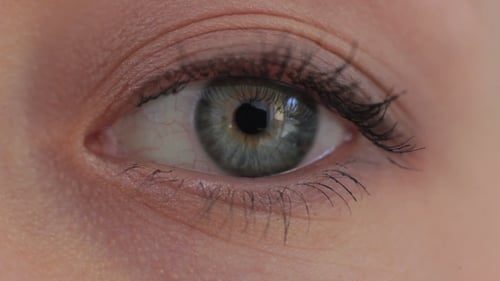 Eye Of The Girl